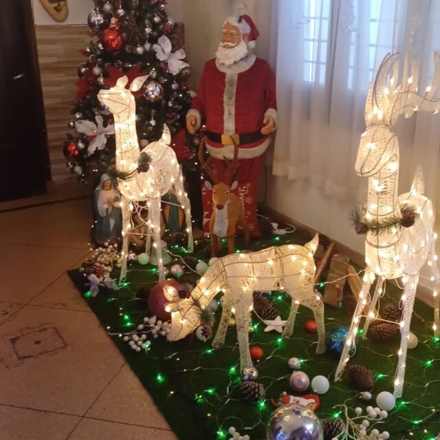 WhatsApp Image 2024-12-19 at 1.26.57 PM