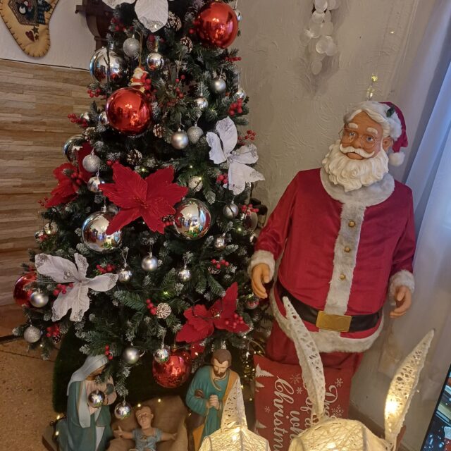 WhatsApp Image 2024-12-20 at 11.06.41 AM (1)