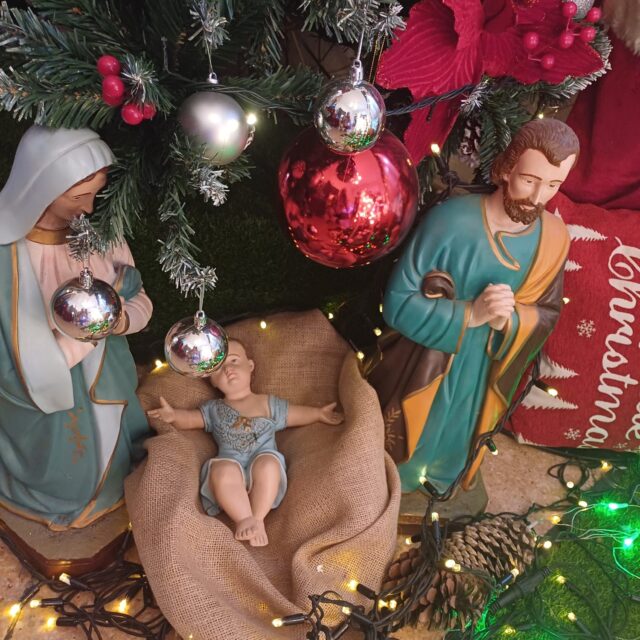 WhatsApp Image 2024-12-20 at 11.06.43 AM