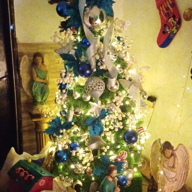 WhatsApp Image 2024-12-20 at 11.07.50 AM (1)