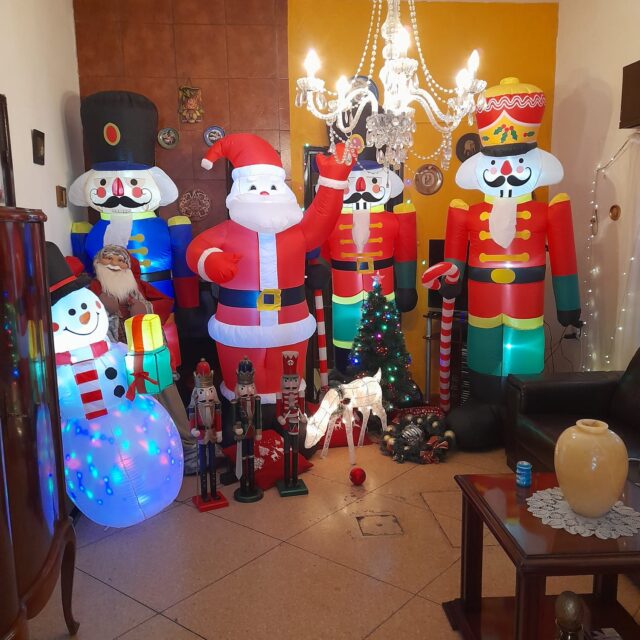 WhatsApp Image 2024-12-20 at 11.07.51 AM (2)