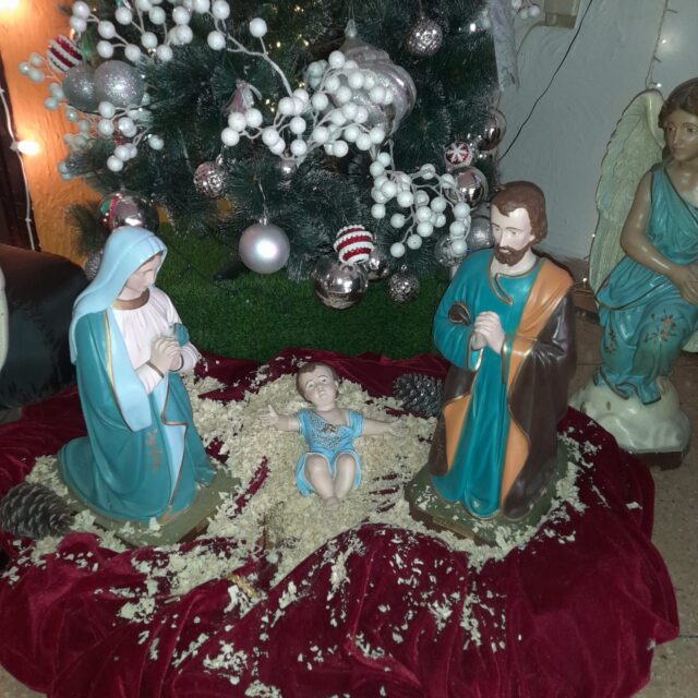 WhatsApp Image 2024-12-20 at 11.07.51 AM